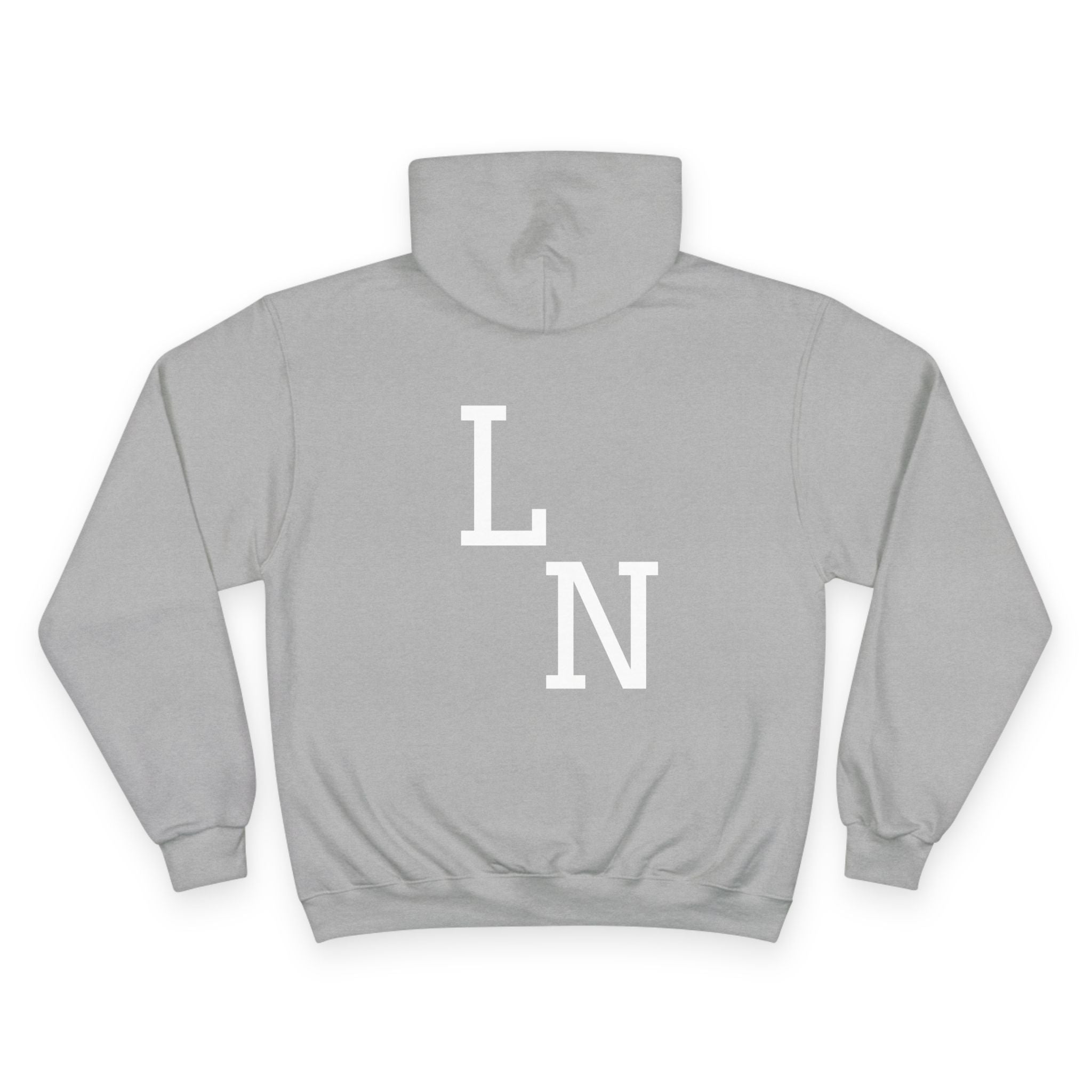 Sweatshirt Hoodie GREY BACK VIEW