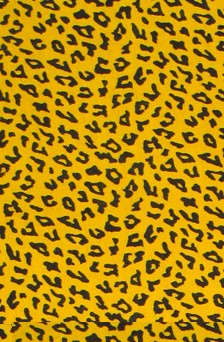 5 Panel Hat Cheetah Style